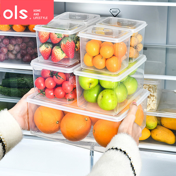 Transparent Food-Grade Refrigerator Vegetables Fruits Meat Storage Food Container Set